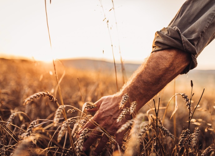 Avec STARTERRE AGRI, concrétisez votre projet !