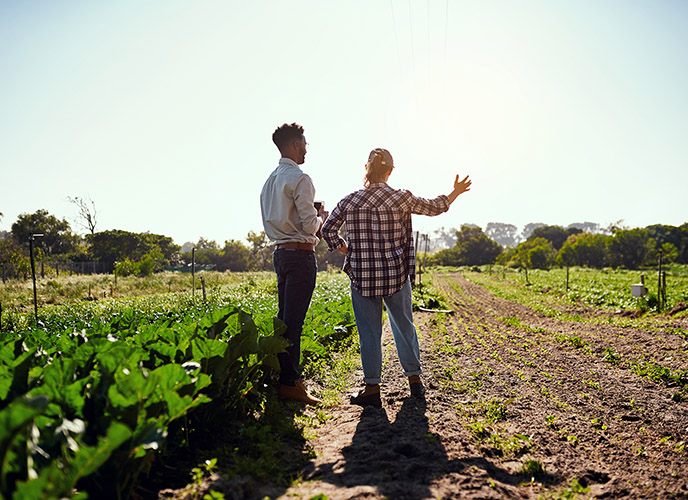 Crise agricole : mobilisation activée.